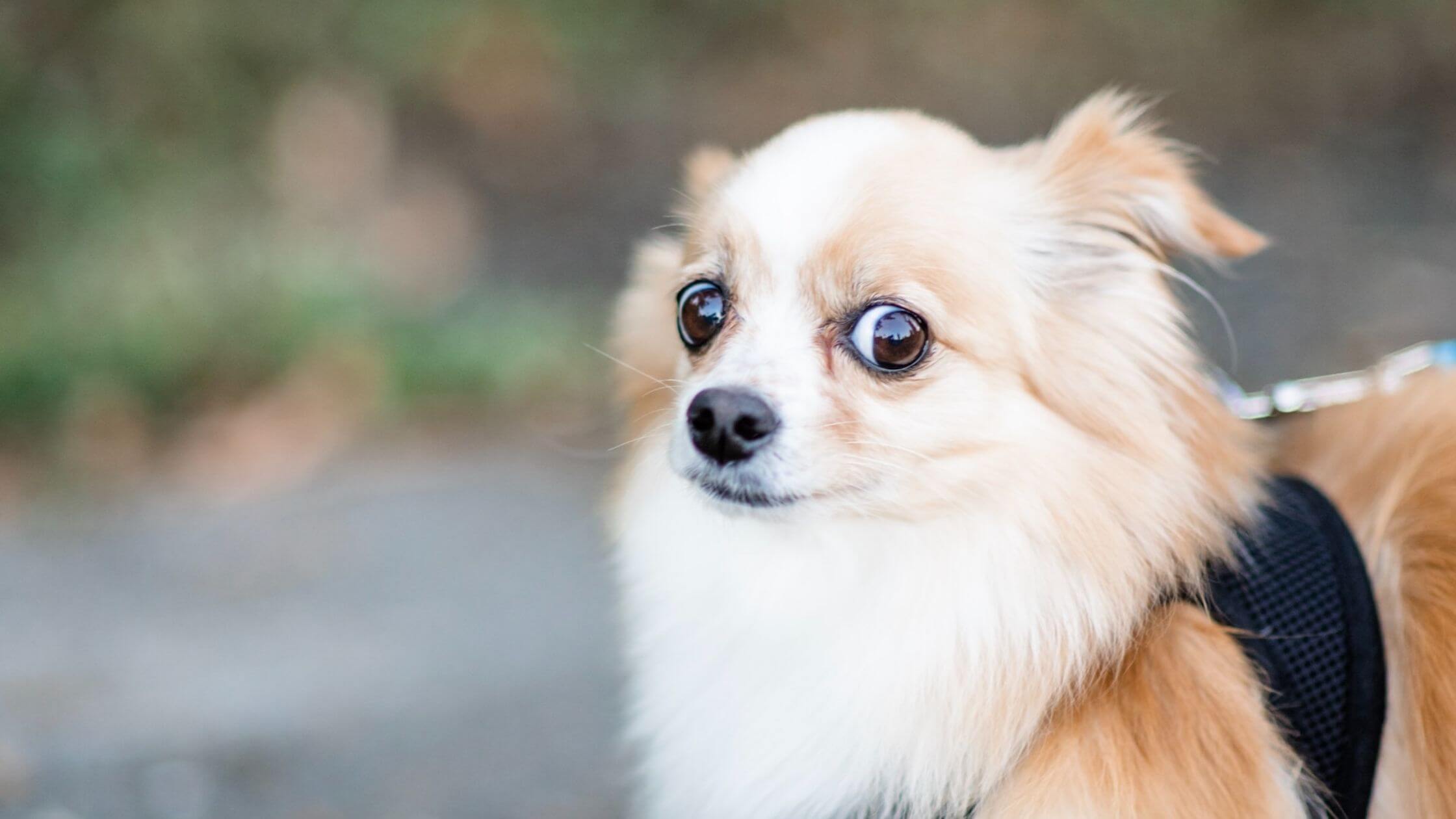 When Spirit Guidance is Confusing